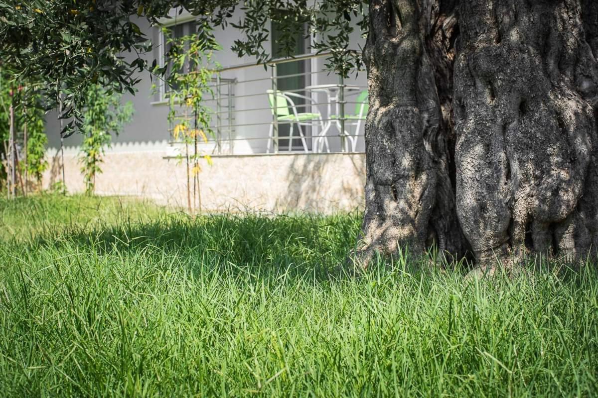 Mougkrasstudio Διαμέρισμα Σκάλα Ραχωνίου Εξωτερικό φωτογραφία