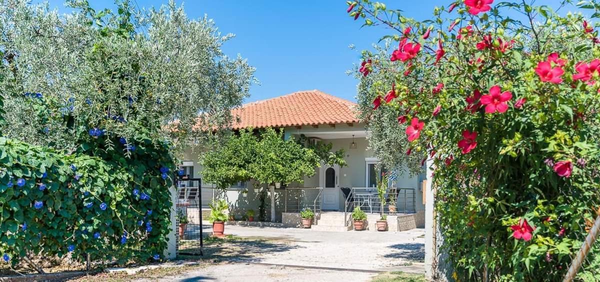 Mougkrasstudio Διαμέρισμα Σκάλα Ραχωνίου Εξωτερικό φωτογραφία